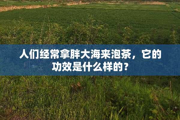 人们经常拿胖大海来泡茶，它的功效是什么样的？