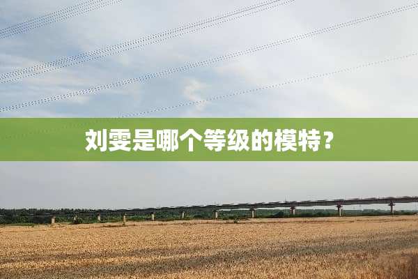 刘雯是哪个等级的模特？