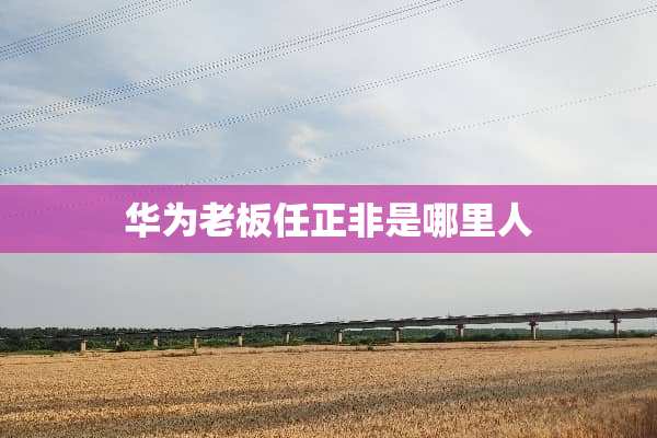 华为老板任正非是哪里人