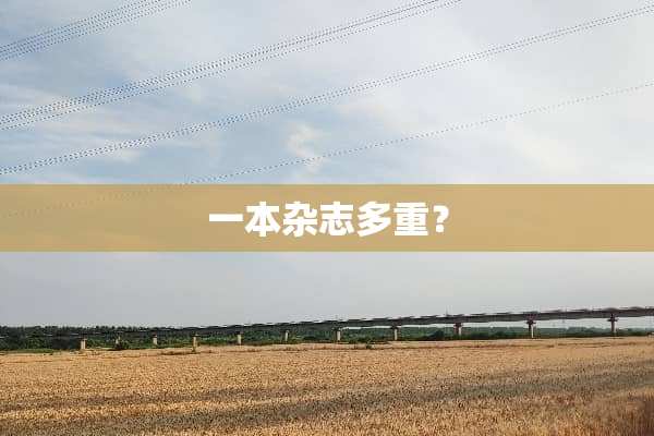 一本杂志多重？