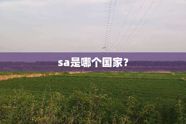 sa是哪个国家？