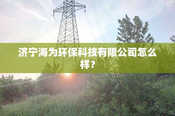 济宁海为环保科技有限公司怎么样？