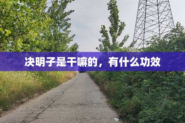 决明子是干嘛的，有什么功效