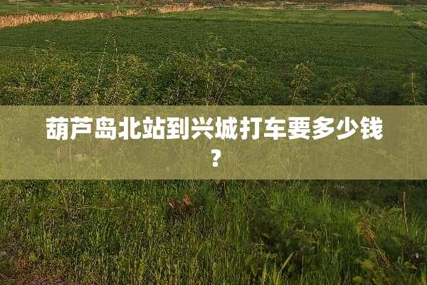 葫芦岛北站到兴城打车要多少钱？
