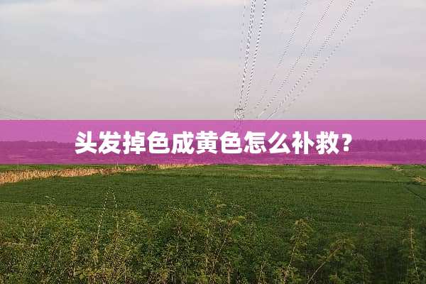 头发掉色成黄色怎么补救？