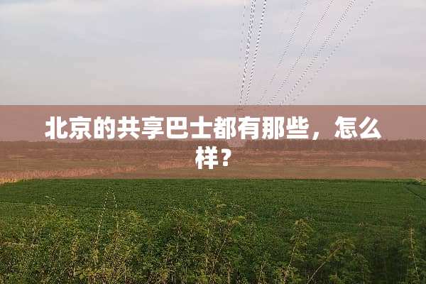 北京的共享巴士都有那些，怎么样？