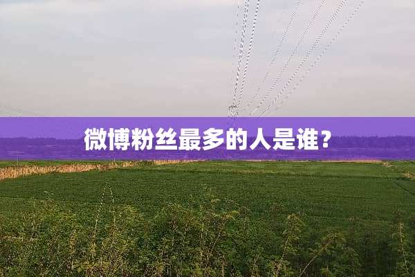微博粉丝最多的人是谁？