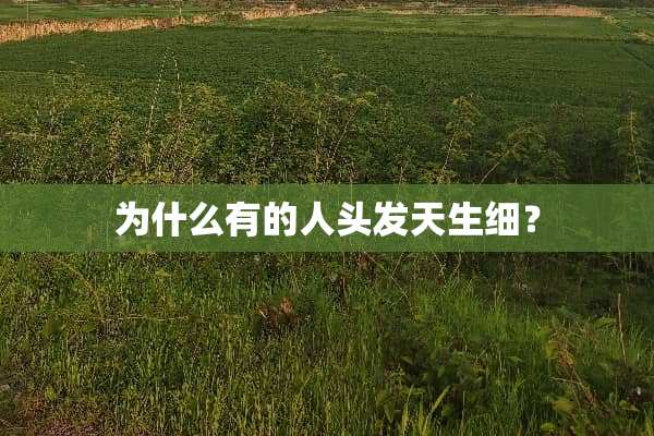为什么有的人头发天生细？