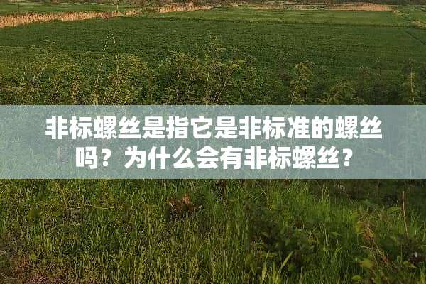 非标螺丝是指它是非标准的螺丝吗？为什么会有非标螺丝？
