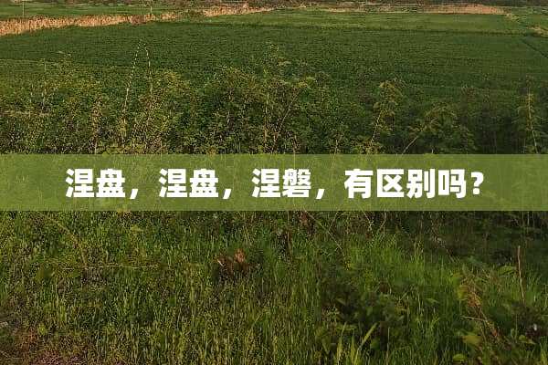 涅盘，涅盘，涅磐，有区别吗？