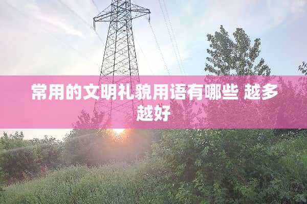 常用的文明礼貌用语有哪些 越多越好