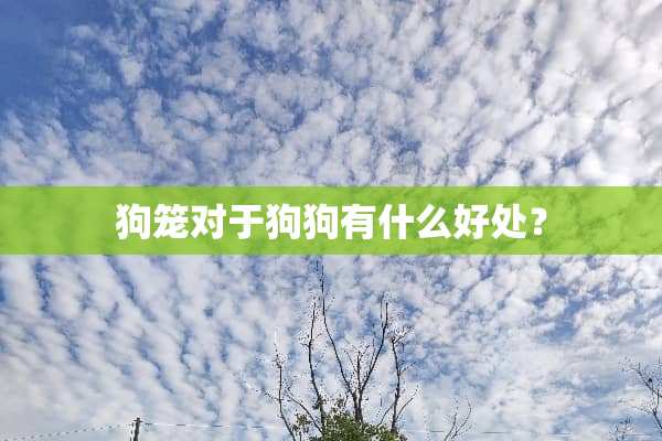 狗笼对于狗狗有什么好处？