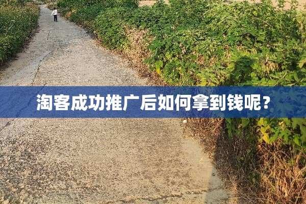 淘客成功推广后如何拿到钱呢？