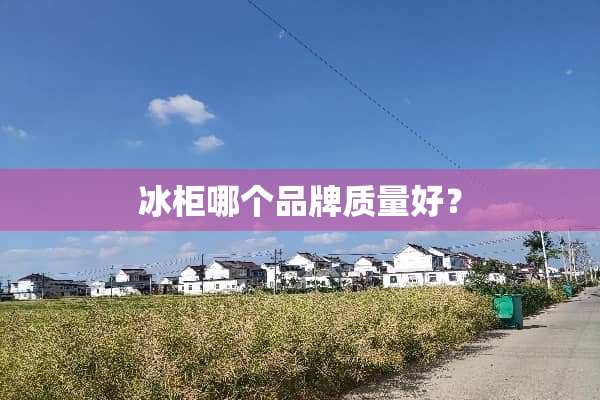 冰柜哪个品牌质量好？