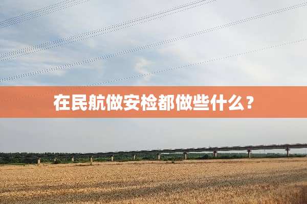 在民航做安检都做些什么？