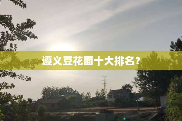 遵义豆花面十大排名？