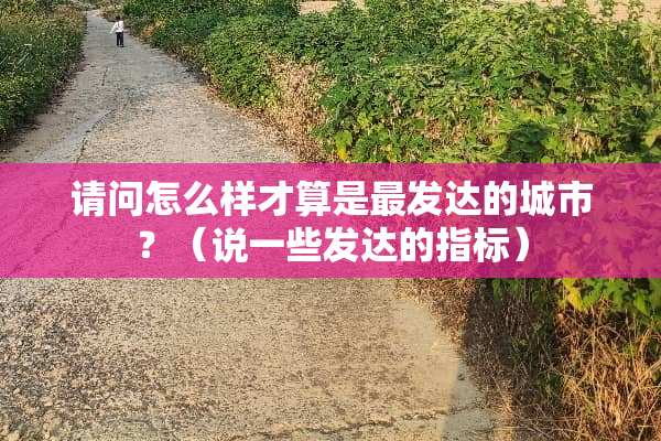 请问怎么样才算是最发达的城市？（说一些发达的指标）