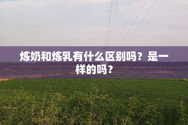 炼奶和炼*有什么区别吗？是一样的吗？