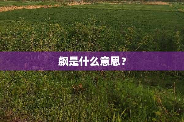 飙是什么意思？