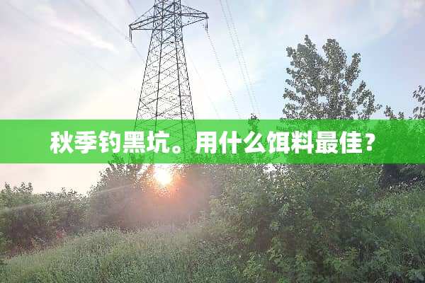 秋季钓黑坑。用什么饵料最佳？