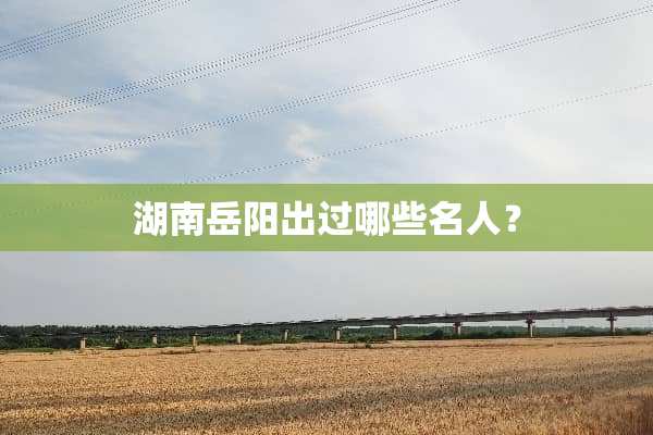 湖南岳阳出过哪些名人？