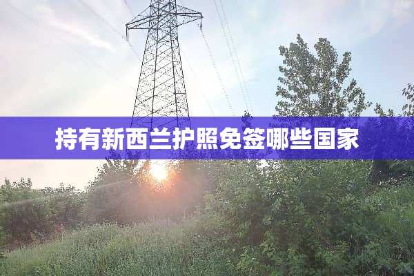 持有新西兰护照免签哪些国家