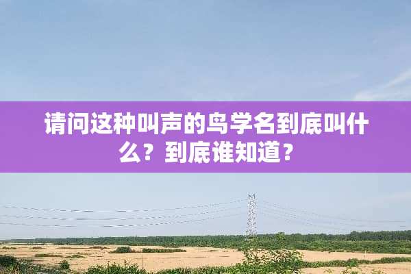 请问这种叫声的鸟学名到底叫什么？到底谁知道？