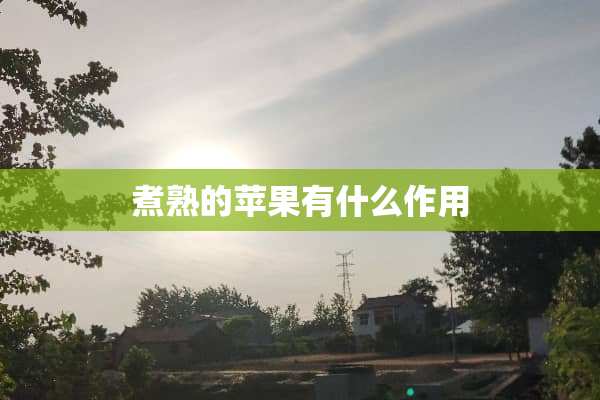 煮熟的苹果有什么作用