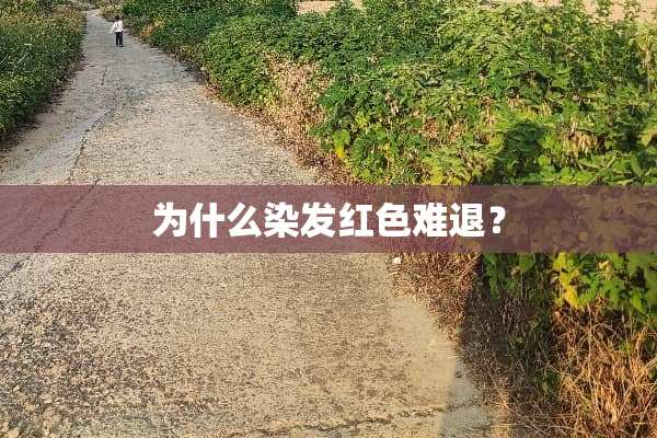 为什么染发红色难退？