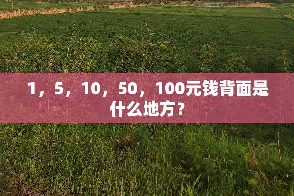 1，5，10，50，100元钱背面是什么地方？
