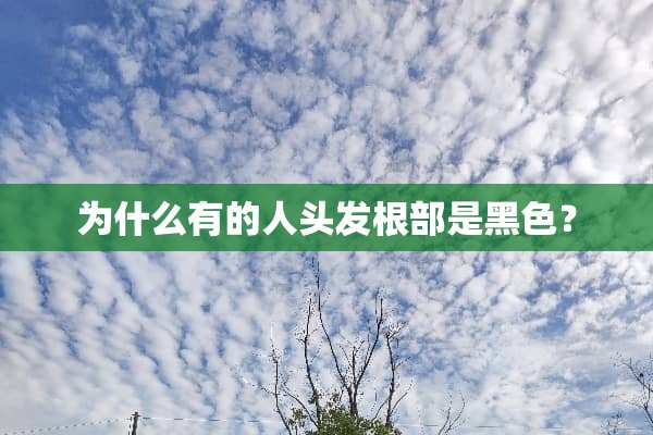 为什么有的人头发根部是黑色？