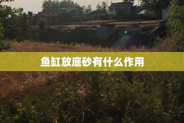 鱼缸放底砂有什么作用