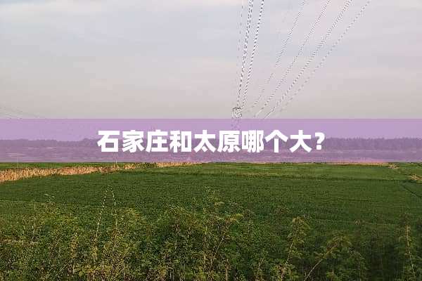 石家庄和太原哪个大？