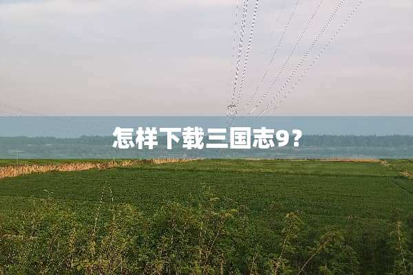 怎样下载三国志9？