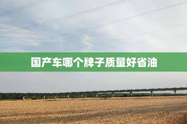 国产车哪个牌子质量好省油
