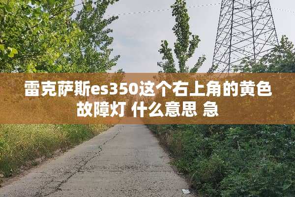 雷克萨斯es350这个右上角的**故障灯 什么意思 急