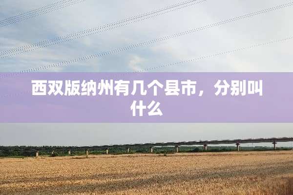 西双版纳州有几个县市，分别叫什么