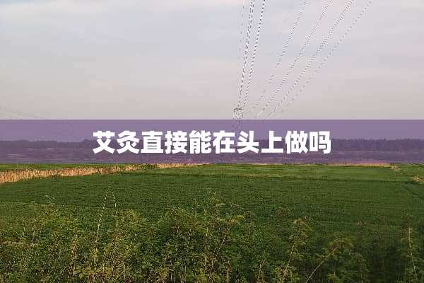 艾灸直接能在头上做吗