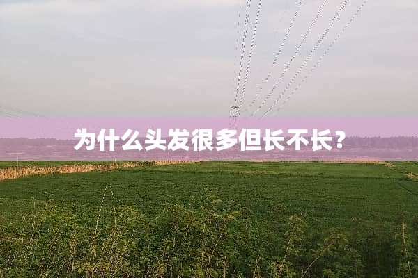 为什么头发很多但长不长？