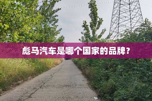 彪马汽车是哪个国家的品牌？