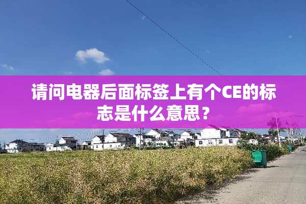 请问电器后面标签上有个CE的标志是什么意思？