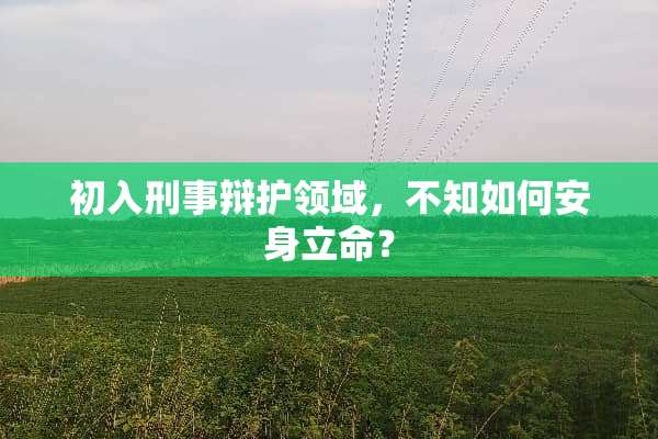 初入刑事辩护领域，不知如何安身立命？