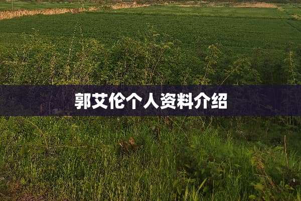 郭艾伦个人资料介绍