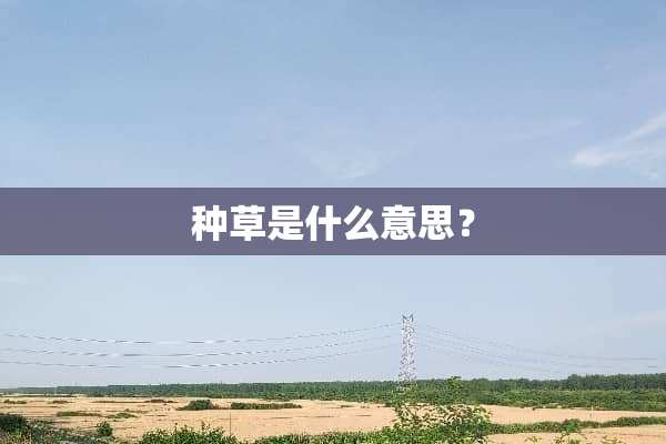种草是什么意思？