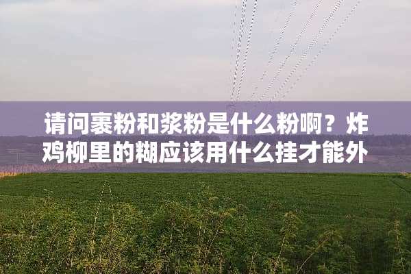 请问裹粉和浆粉是什么粉啊？炸鸡柳里的糊应该用什么挂才能外脆里嫩哪？
