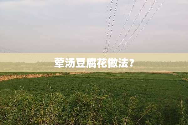荤汤豆腐花做法？