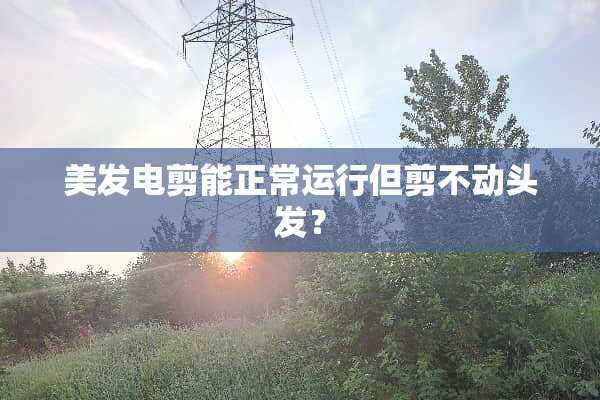 美发电剪能正常运行但剪不动头发？