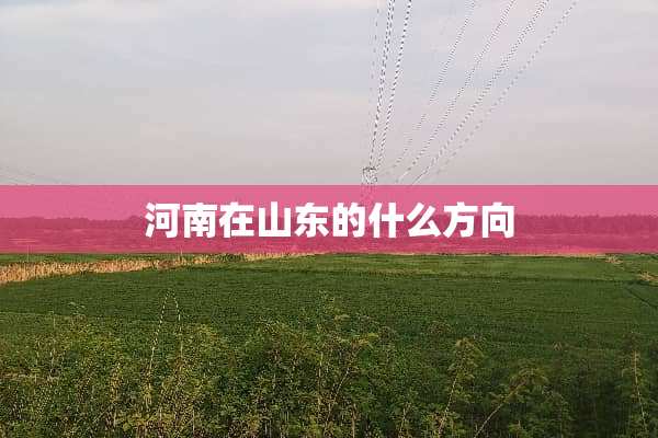 河南在山东的什么方向