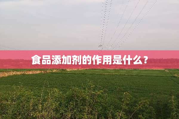 食品添加剂的作用是什么？