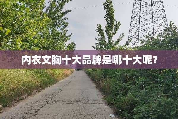 **文胸十大品牌是哪十大呢？
